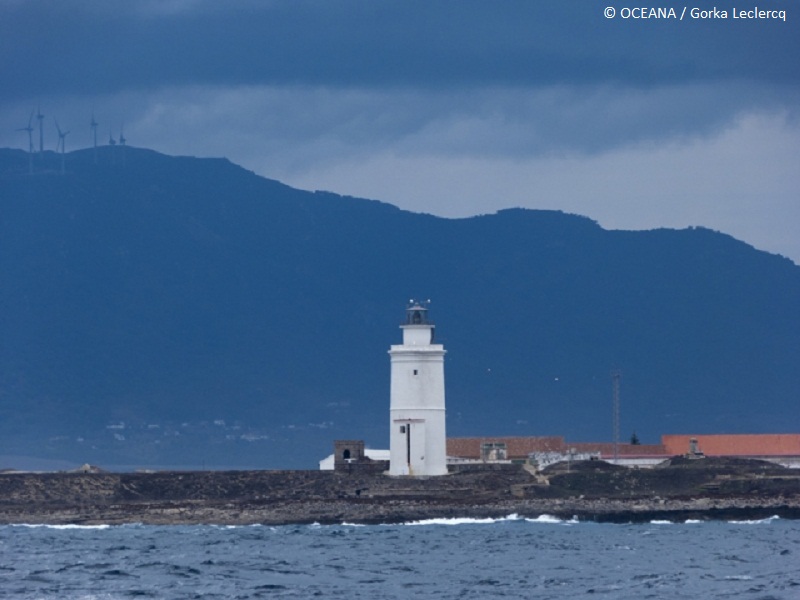 Faro de la isla de Tarifa con mala mar ©OCEANA / Gorka Leclercq