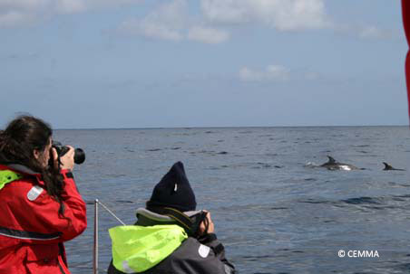 Whale watching. Cañón de Avilés May and June 2011 Campaign  © CEMMA