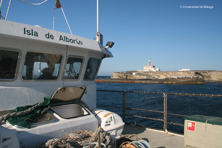 El “Isla de Alborán” en las inmediaciones de la isla del mismo nombre. Foto: Agustín Barrajón