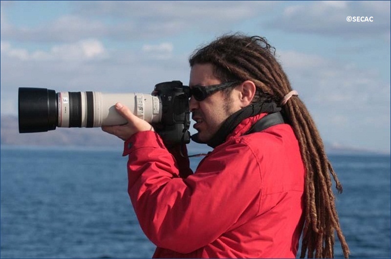 Enrique Pérez-Gil, foto-identificación de un grupo de delfines ©SECAC