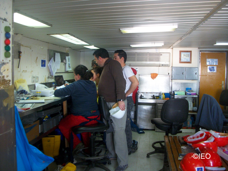 El Jefe de Campaña analiza con los investigadores las posiciones de los muestreos en el laboratorio humedo ©IEO