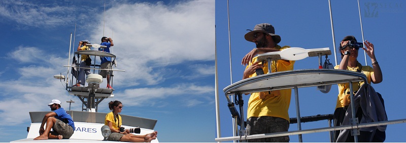 Observación desde la torre y el fly ©SECAC