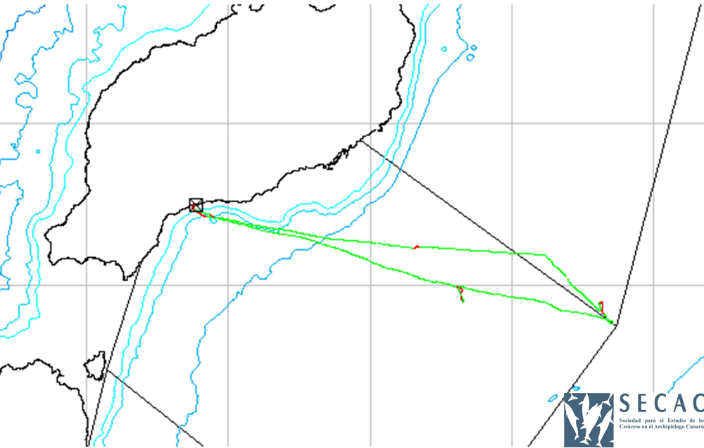 Mapa del transecto realizado © SECAC