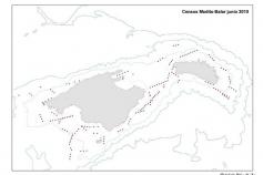 Cobertura espacial de los censos mediante transectos realizados durante la campaña MEDITS ES 05 ©SEO/BirdLife