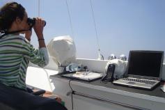 Realizando avistamientos desde el Riscos de Famara / Undertaking whale watching from the Riscos de Famara ©ALNITAK